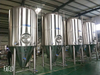 20HL Two Vessels Brewhouse System Regional Brewing Equipment