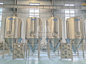 30bbl 4000L Unitank with Stainless Steel Pipe
