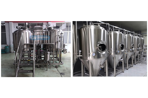 Two Vessels Brewhouse System