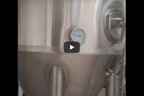 Video-20HL Beer Fermenter in Italy
