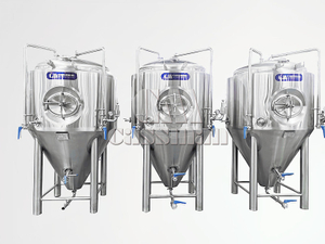 500L Double Wall Conical Fermenter